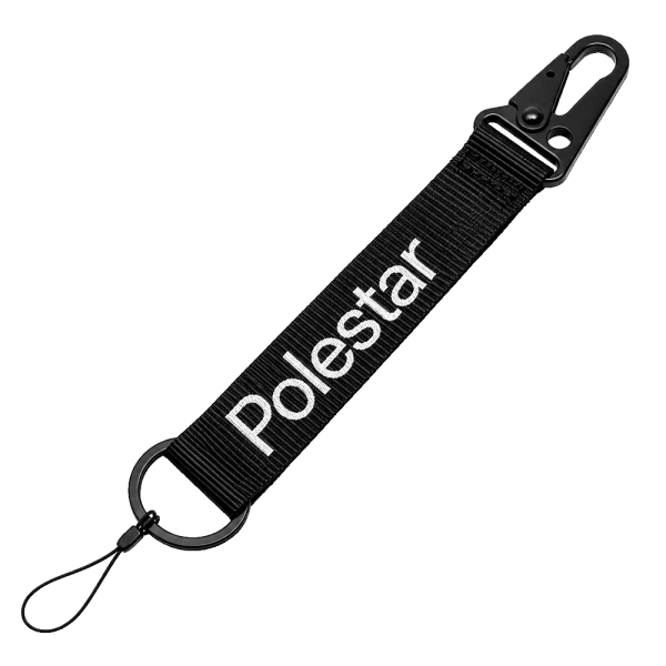 ps110-3.png