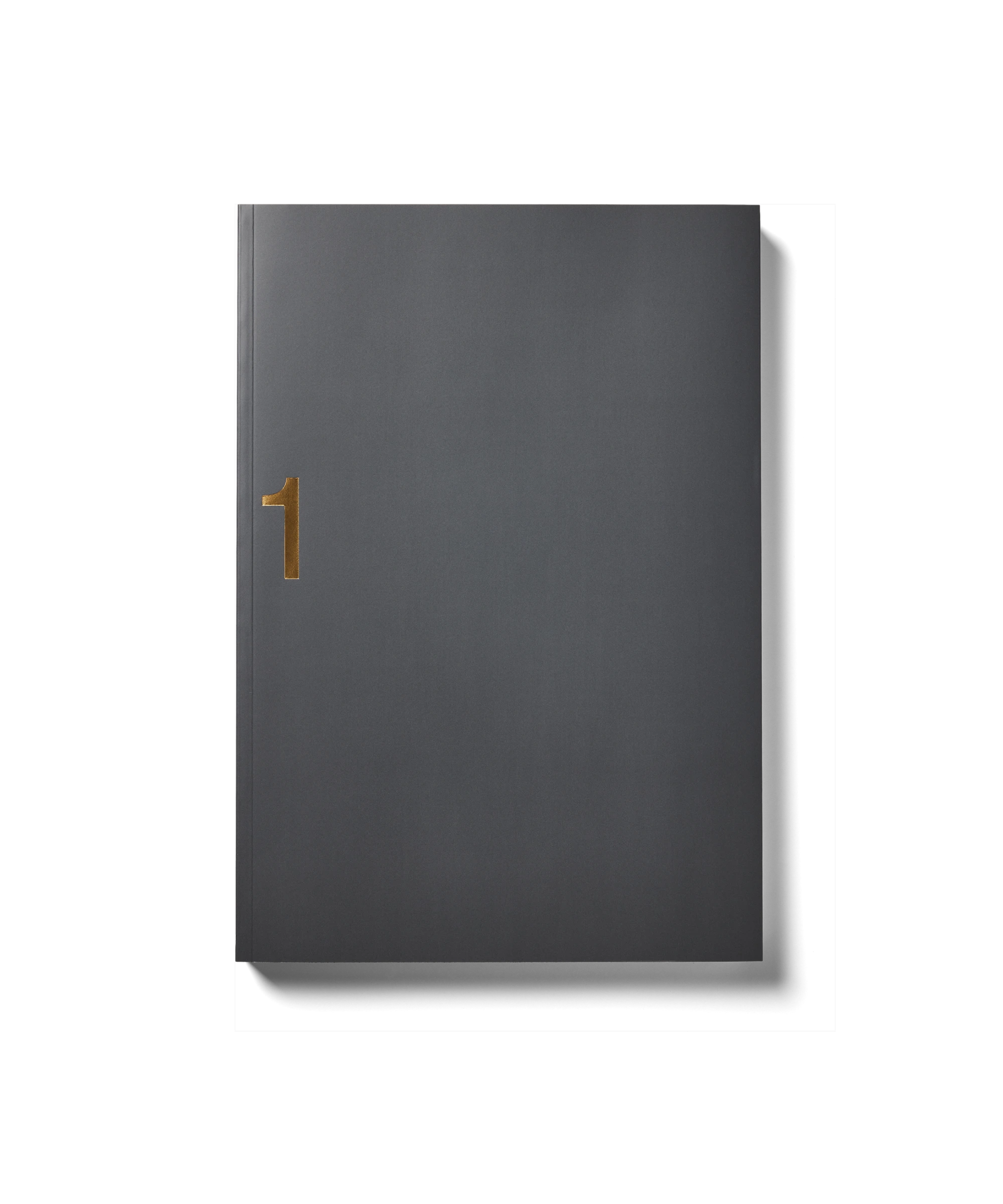 Donkerkleurig hardcover boek met goudkleurige "1" op de omslag.